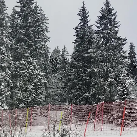 гранд манастира 4а30 весела ваканция Pamporovo
