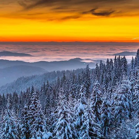 гранд манастира 4а30 весела ваканция * بامبوروفو