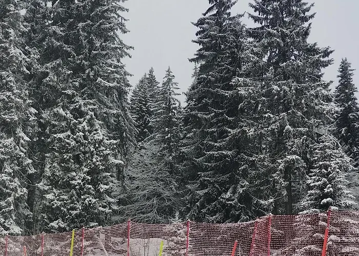 гранд манастира 4а30 весела ваканция פמפורובו