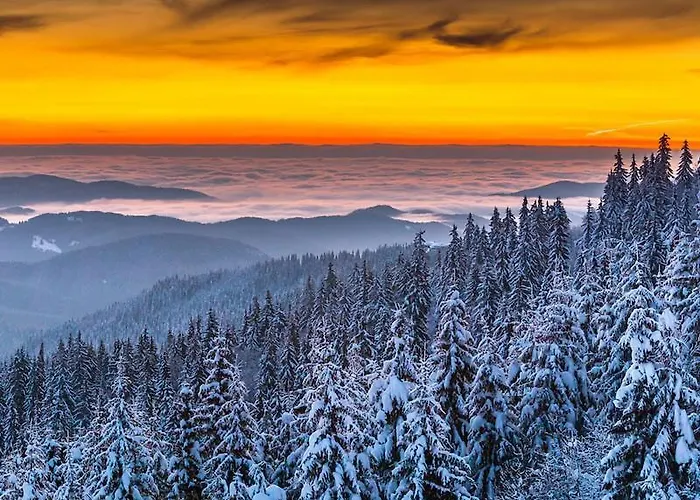 гранд манастира 4а30 весела ваканция * Pamporovo