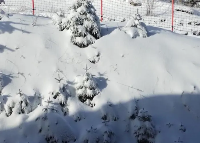 гранд манастира 4а30 весела ваканция Appartamento Pamporovo